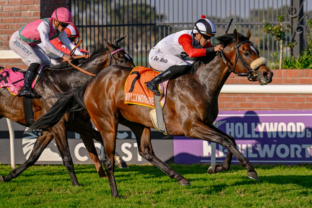 Catwalk King adds the Somerset 1200 to our juvenile stakes haul