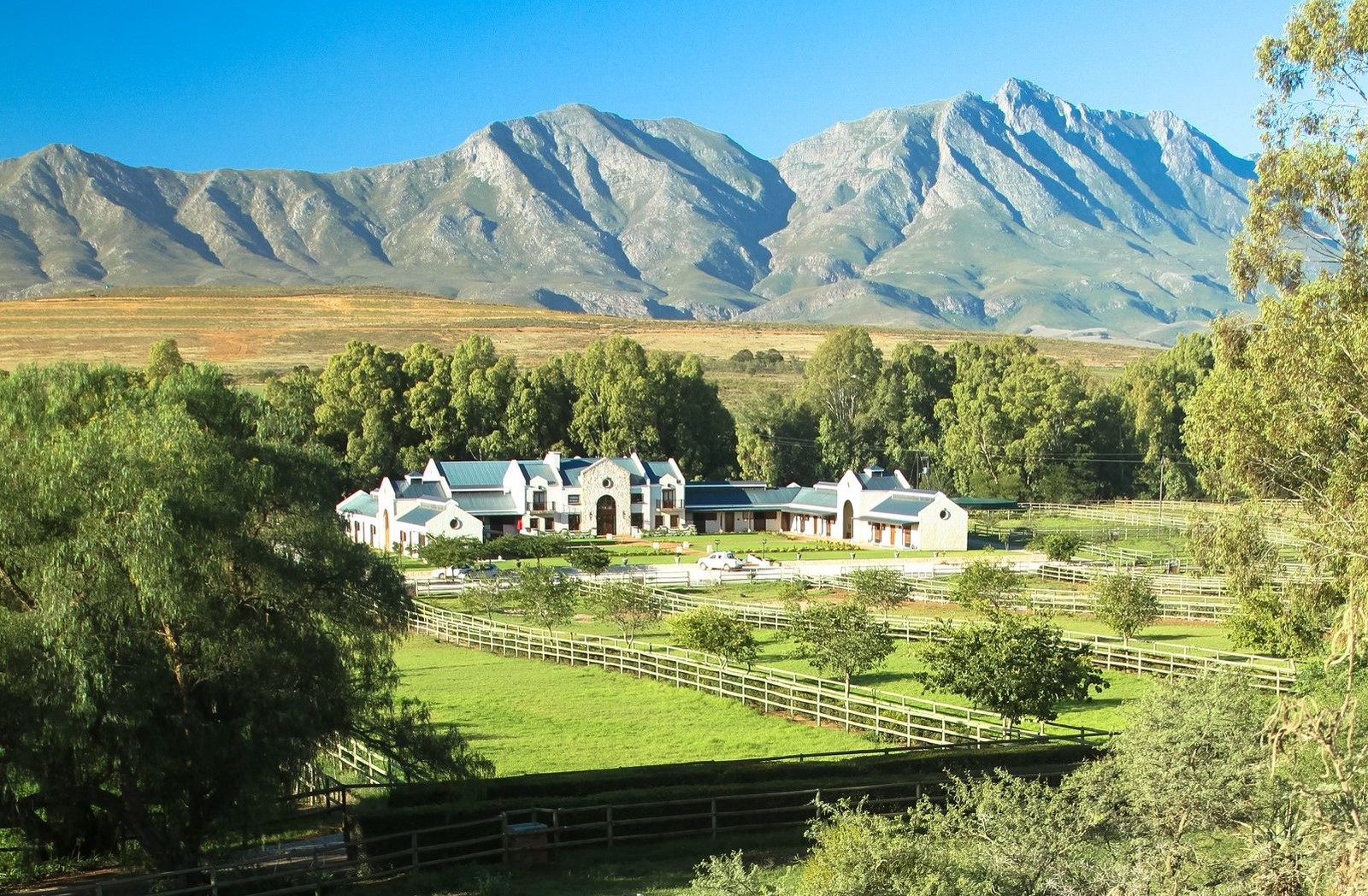 Klawervlei Changes Hands In Landmark Breeding Deal